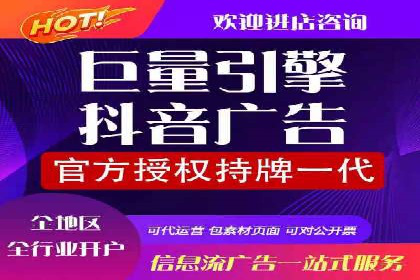 SEM竞价培训：实战案例解析与策略