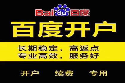 百度优化推广案例：如何利用百度广告投放